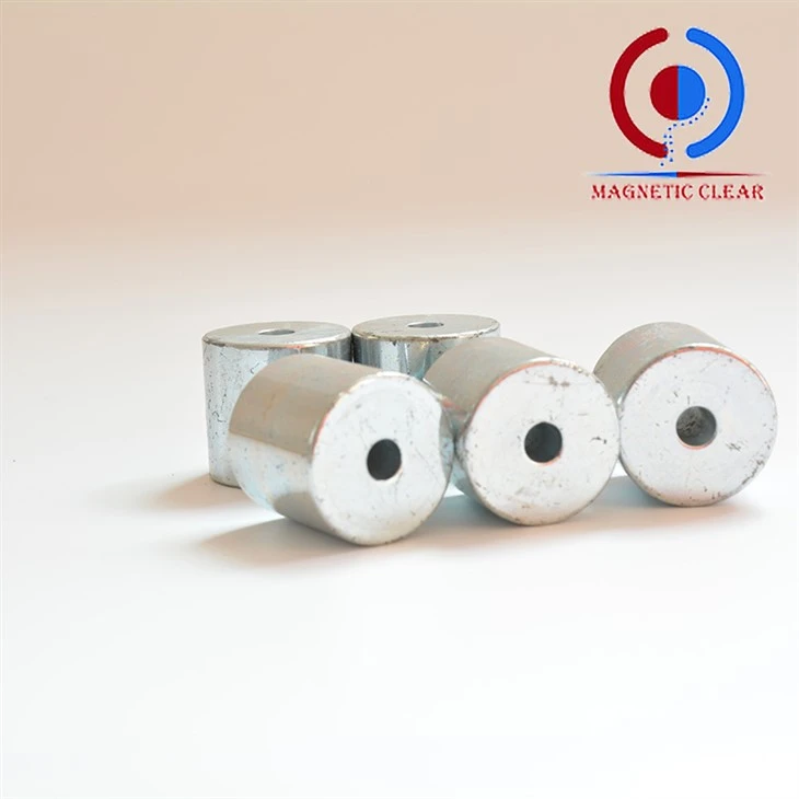 Samarium kobalt ringmagneten